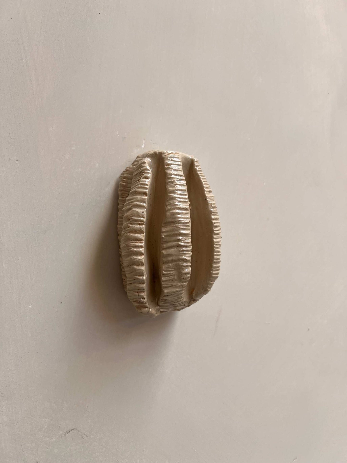 OBJETS DE NOYER - CORAL 02